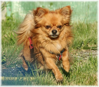 07-sammy-2799i