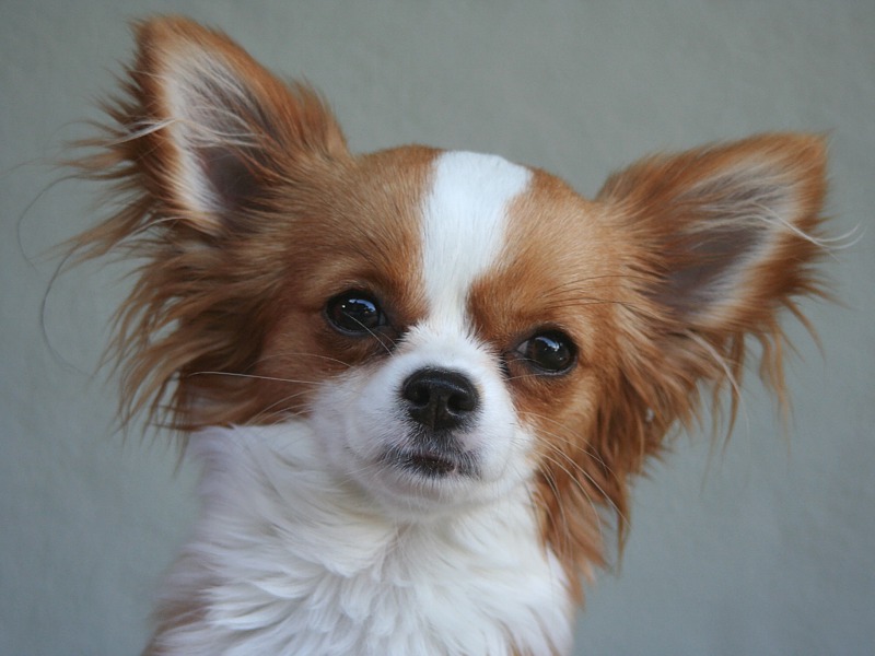 09-tammy-5571f