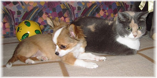09tammy-gina1i