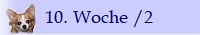 10. Woche /2