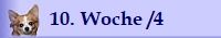 10. Woche /4