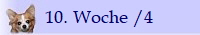 10. Woche /4