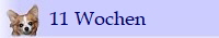 11 Wochen