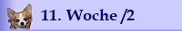 11. Woche /2