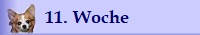 11. Woche