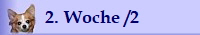 2. Woche /2