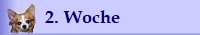 2. Woche