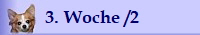 3. Woche /2