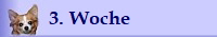 3. Woche