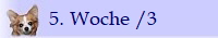 5. Woche /3