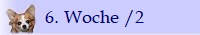 6. Woche /2