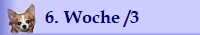 6. Woche /3