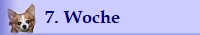 7. Woche