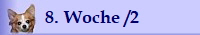 8. Woche /2