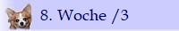 8. Woche /3