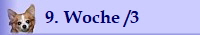 9. Woche /3