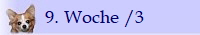 9. Woche /3