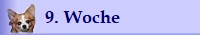 9. Woche