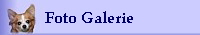 Foto Galerie