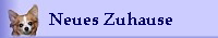 Neues Zuhause