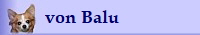 von Balu